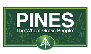 Pines Wheatgrass